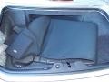 Platinum Silver Metallic - Thunderbird Premium Roadster Photo No. 15