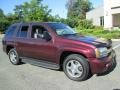 Bordeaux Red Metallic - TrailBlazer LS 4x4 Photo No. 10