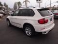 Alpine White - X5 xDrive 35i Photo No. 10