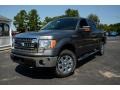 Sterling Gray Metallic - F150 XLT SuperCrew 4x4 Photo No. 1