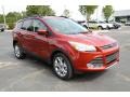 2014 Sunset Ford Escape SE 1.6L EcoBoost  photo #3