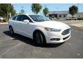 White Platinum - Fusion Hybrid Titanium Photo No. 3
