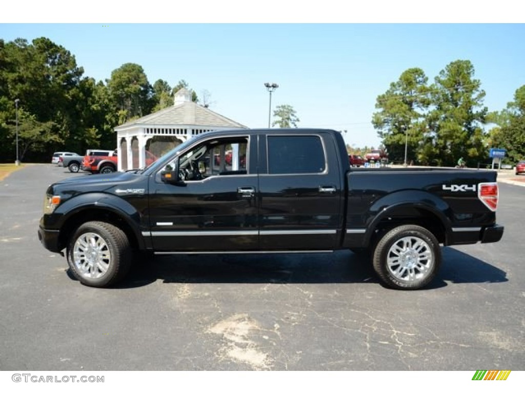 Tuxedo Black Metallic 2013 Ford F150 Platinum SuperCrew 4x4 Exterior Photo #85949301