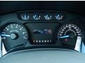 Steel Gray Gauges Photo for 2013 Ford F150 #85951029