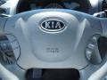 2006 Silver Kia Sedona LX  photo #23