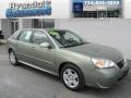 Silver Green Metallic 2006 Chevrolet Malibu Maxx LT Wagon