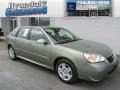 2006 Silver Green Metallic Chevrolet Malibu Maxx LT Wagon  photo #1