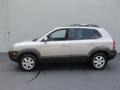 Sahara Silver - Tucson GLS V6 4WD Photo No. 2