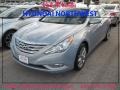 Iridescent Silver Blue Pearl - Sonata SE Photo No. 1