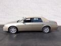Light Cashmere Metallic - DTS  Photo No. 7