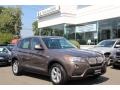 Sparkling Bronze Metallic - X3 xDrive 28i Photo No. 1