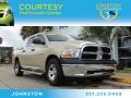 White Gold - Ram 1500 ST Crew Cab Photo No. 1