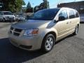 2010 White Gold Pearl Dodge Grand Caravan SE Hero  photo #3