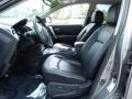 Platinum Graphite - Rogue SL Photo No. 13