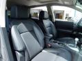 Platinum Graphite - Rogue SL Photo No. 19