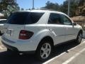 Arctic White - ML 350 4Matic Photo No. 6