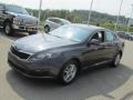 Platinum Graphite - Optima LX Photo No. 5