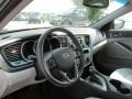 Platinum Graphite - Optima LX Photo No. 12