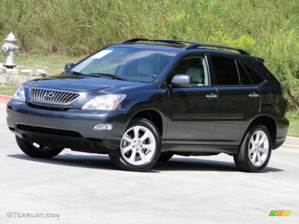 2009 RX 350 - Smokey Granite / Light Gray photo #3