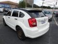 Stone White - Caliber SXT Photo No. 7