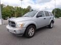 Brilliant Silver Metallic - Durango ST 4x4 Photo No. 9