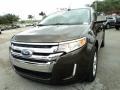 2011 Earth Metallic Ford Edge SEL  photo #14