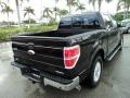 Tuxedo Black Metallic - F150 Lariat SuperCrew Photo No. 6