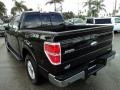 Tuxedo Black Metallic - F150 Lariat SuperCrew Photo No. 9