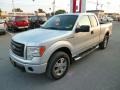 2010 Ingot Silver Metallic Ford F150 STX SuperCab 4x4  photo #3