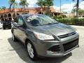 2013 Sterling Gray Metallic Ford Escape SEL 2.0L EcoBoost  photo #1
