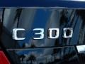 2010 Mercedes-Benz C 300 Luxury Badge and Logo Photo