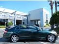 2010 Jade Green Metallic Mercedes-Benz E 350 Sedan  photo #8