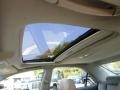 Phantom Gray Pearl - Camry XLE V6 Photo No. 16