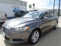Sterling Gray - Fusion SE EcoBoost Photo No. 1
