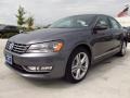 Platinum Gray Metallic - Passat 1.8T SEL Premium Photo No. 3