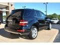 Black - ML 350 4Matic Photo No. 11