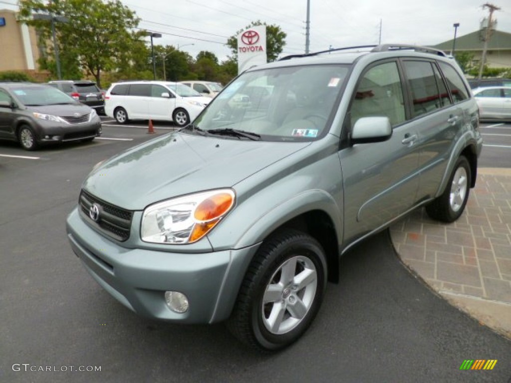 2005 RAV4 4WD - Everglade Metallic / Taupe photo #3