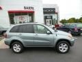 Everglade Metallic - RAV4 4WD Photo No. 8