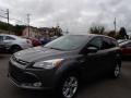 2014 Sterling Gray Ford Escape SE 1.6L EcoBoost 4WD  photo #1