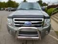 Vapor Silver Metallic - Expedition XLT 4x4 Photo No. 3