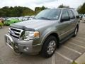 Vapor Silver Metallic - Expedition XLT 4x4 Photo No. 4