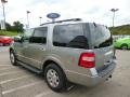 Vapor Silver Metallic - Expedition XLT 4x4 Photo No. 5