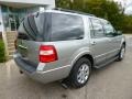Vapor Silver Metallic - Expedition XLT 4x4 Photo No. 7