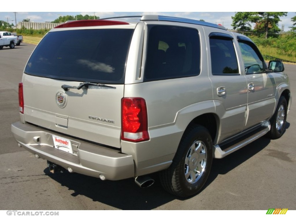 2004 Escalade  - Quicksilver / Pewter Gray photo #5