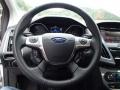 Ingot Silver - Focus Titanium Sedan Photo No. 22