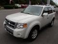 White Suede - Escape Limited 4WD Photo No. 4
