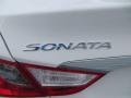 Shimmering White - Sonata GLS Photo No. 13