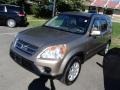 2006 Sahara Sand Metallic Honda CR-V SE 4WD  photo #3