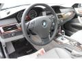 2010 Platinum Grey Metallic BMW 5 Series 528i Sedan  photo #13