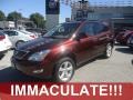 Brandywine Mica 2008 Lexus RX 350 AWD